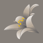 Cancer Resource Center of the Desert (CRCD)